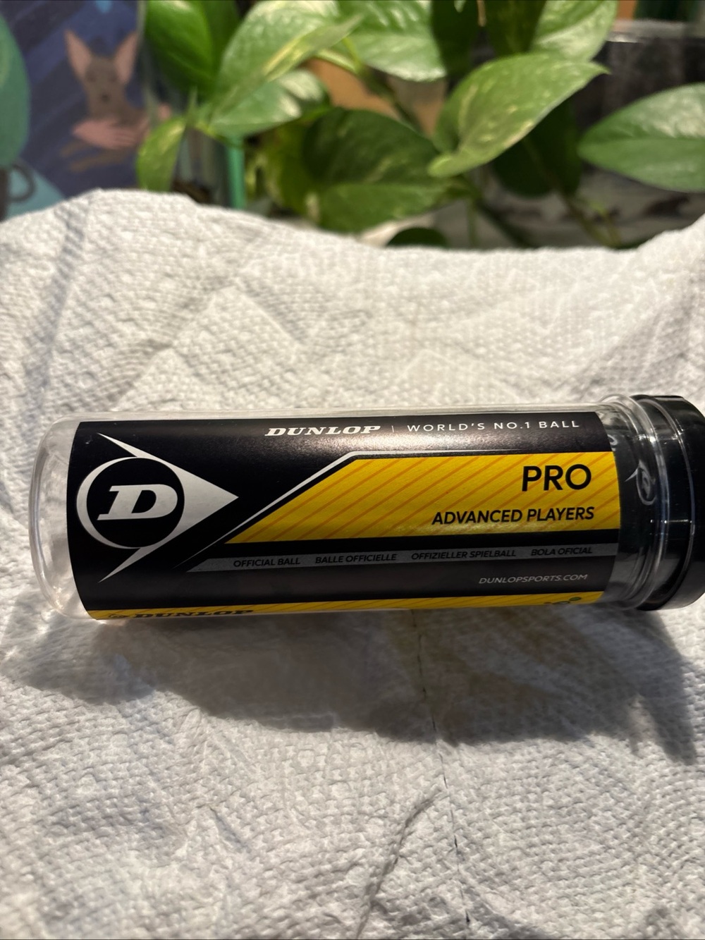 BRAND NEW Dunlop Sports Pro XX Squash Ball - 3-Ball Tube